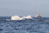Maui 2010_03052010_289.jpg