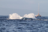 Maui 2010_03052010_290.jpg