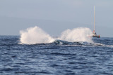 Maui 2010_03052010_291.jpg