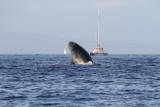 Maui 2010_03052010_316.jpg