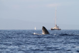 Maui 2010_03052010_325.jpg