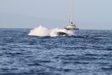 Maui 2010_03052010_338.jpg