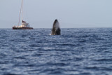 Maui 2010_03052010_344.jpg