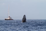 Maui 2010_03052010_347.jpg