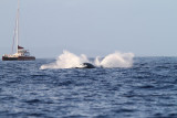 Maui 2010_03052010_354.jpg