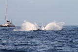 Maui 2010_03052010_355.jpg