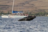 Maui 2010_03052010_367.jpg