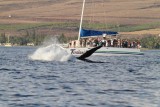 Maui 2010_03052010_373.jpg
