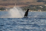 Maui 2010_03052010_388.jpg