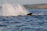 Maui 2010_03052010_407.jpg