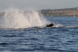 Maui 2010_03052010_408.jpg