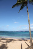 Maui 2010_03062010_434.jpg