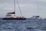 Maui 2010_03062010_468.jpg