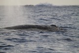 Maui 2010_03062010_472.jpg