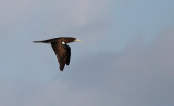 Maui 2010_03072010_484.jpg