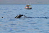 Maui 2010_03072010_496.jpg