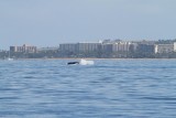 Maui 2010_03072010_533.jpg