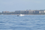 Maui 2010_03072010_534.jpg