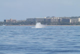 Maui 2010_03072010_539.jpg