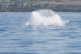 Maui 2010_03072010_548.jpg