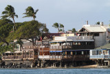 Maui 2010_03072010_583.jpg