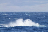 Maui 2010_03082010_630.jpg