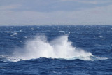 Maui 2010_03082010_632.jpg