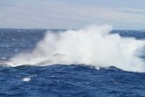 Maui 2010_03082010_648.jpg