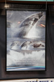 Boss Frog's ad at Lahaina Cannery Mall (Dale's photos)