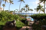 Hyatt Maui (Kaanapali) - lobby