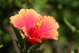 Maui 2010_03082010_684.jpg