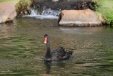 Maui 2010_03082010_686.jpg
