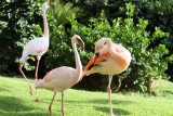 Maui 2010_03082010_687.jpg