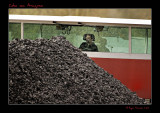 Coke on Amazone