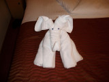 Day 2 Towel Art