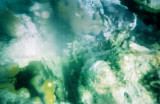 Looking Through Bottom of Clear Kayak