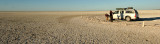 NAMIBIA - ETOSHA NATIONAL PARK NAMIBIA - ETOSHA PAN (3).JPG