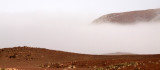 NAMIBIA - SKELETON COAST NATIONAL PARK - SCENERY (3).JPG