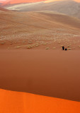 NAMIBIA - SOSSUSVLEI - DUNES - NAMIBIA (10).JPG