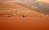 NAMIBIA - SOSSUSVLEI - DUNES - NAMIBIA (8).JPG