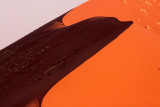 SOSSUSVLEI, NAMIB NAUKLUFT NATIONAL PARK, NAMIBIA (36).JPG