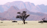 SOSSUSVLEI, NAMIB NAUKLUFT NATIONAL PARK, NAMIBIA (41).JPG