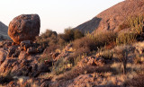 SOSSUSVLEI, NAMIB NAUKLUFT NATIONAL PARK, NAMIBIA (49).JPG