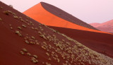 SOSSUSVLEI, NAMIB NAUKLUFT NATIONAL PARK, NAMIBIA - SUNRISE AT DUNE 45 (13).JPG