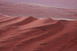 SOSSUSVLEI, NAMIB NAUKLUFT NATIONAL PARK, NAMIBIA - SUNRISE AT DUNE 45 (2).JPG