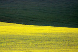 BONTEBOK NATIONAL PARK SOUTH AFRICA - VIEWS OF THE GARDEN ROUTE (2).JPG