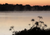 CHOBE NATIONAL PARK BOTSWANA - SUNRISE OVER THE CHOBE RIVER.JPG