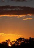 KRUGER NATIONAL PARK SOUTH AFRICA - SUNSET OVER THE KRUGER (5).JPG