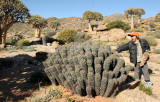 NAMAQUALAND - KOKERBOOM PLANT COMMUNITY - GOEGAP NATURE RESERVE SOUTH AFRICA (26).JPG