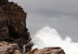 TABLE MOUNTAIN NATIONAL PARK SOUTH AFRICA - CAPE OF GOOD HOPE (13).JPG